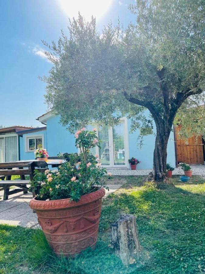 B&B La Rosa Nel Verde Lucca Eksteriør billede
