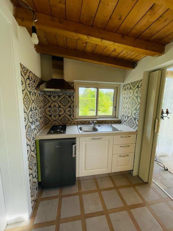 B&B La Rosa Nel Verde Lucca Eksteriør billede