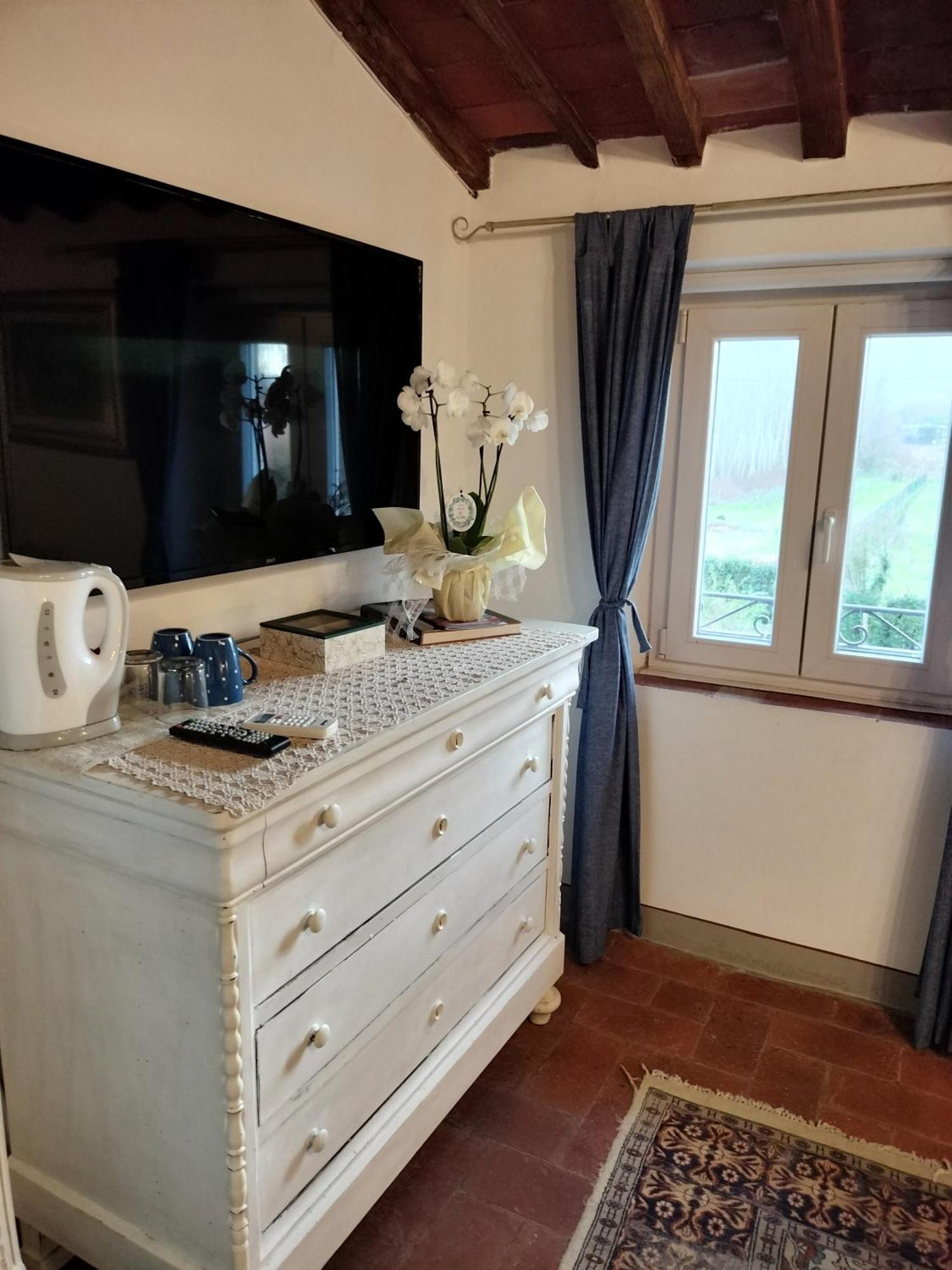 B&B La Rosa Nel Verde Lucca Eksteriør billede